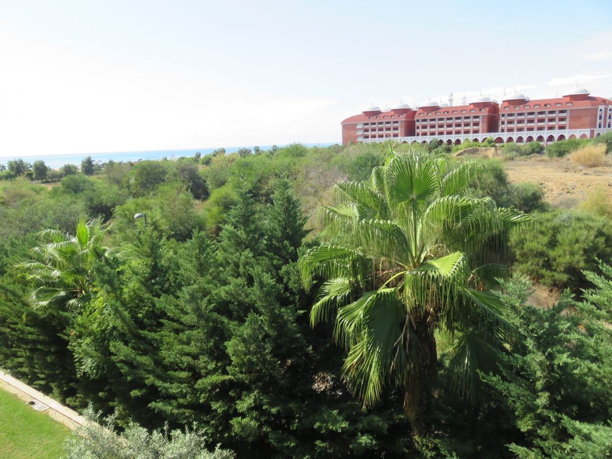 imagini hotel Sentido Trendy Verbena